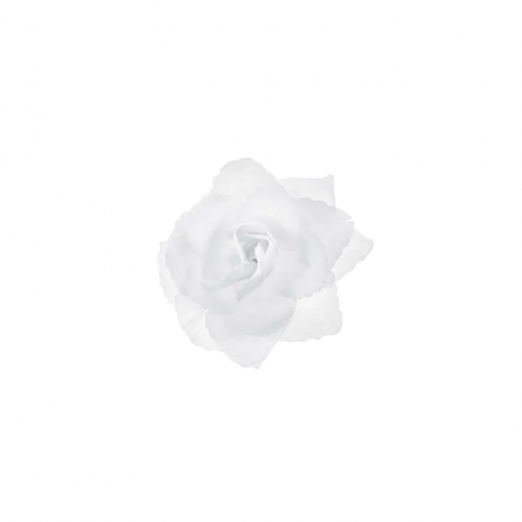 Baltos rožės dekoracija