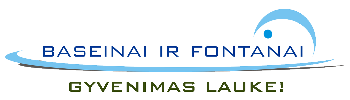 logo skaidrus.png